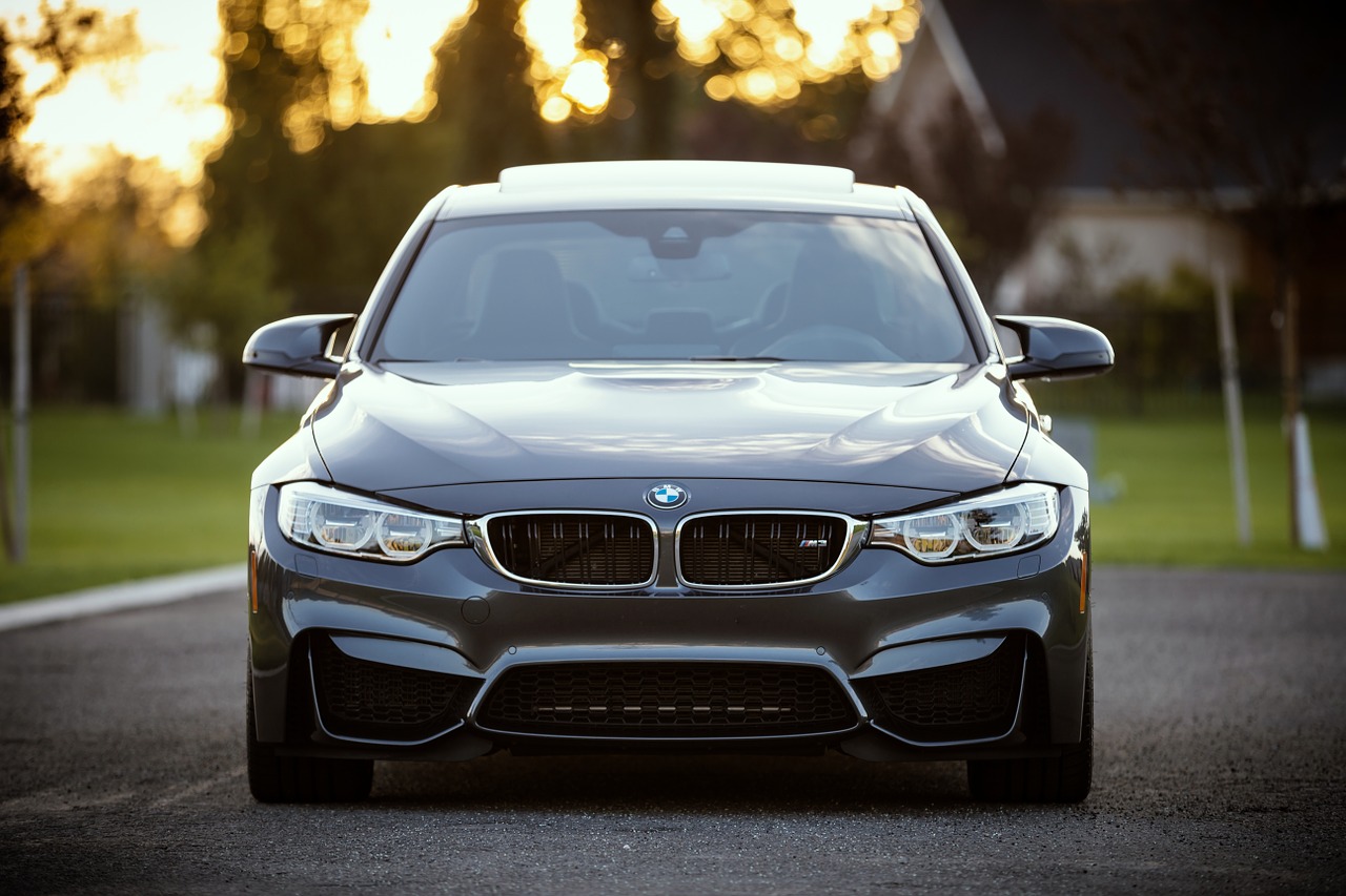 BMW pushes for global emissions standards